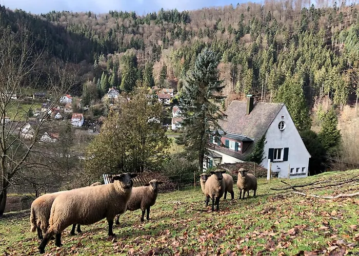 Ferienhaus Waldglück