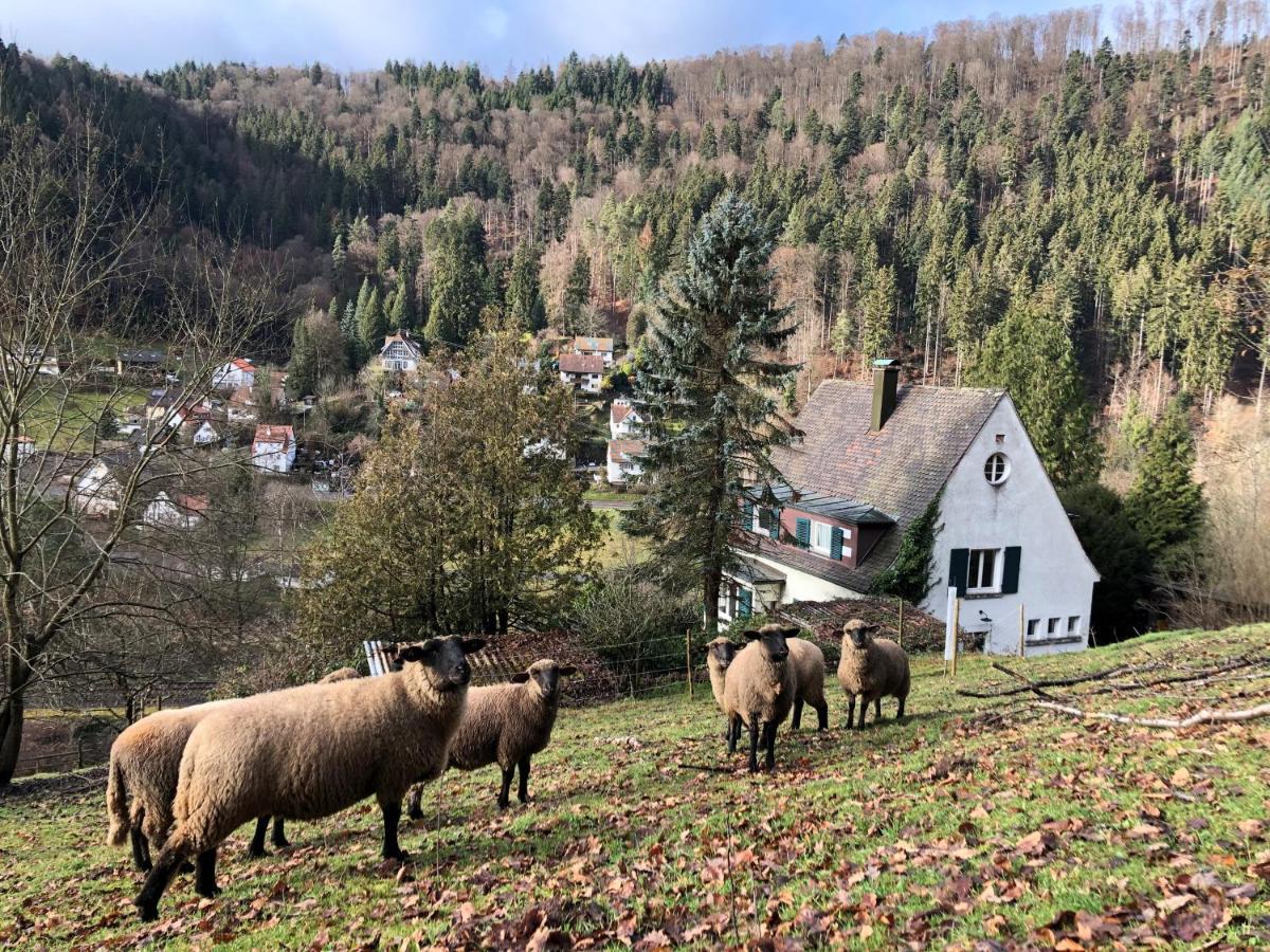 Ferienhaus Waldglück